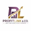 ProfitLink Website